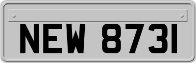 NEW8731