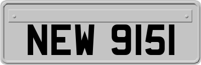 NEW9151