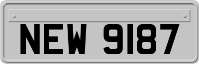 NEW9187