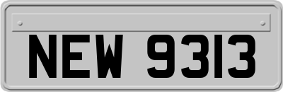 NEW9313