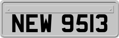 NEW9513