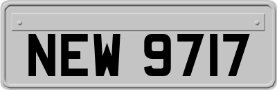 NEW9717