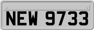 NEW9733