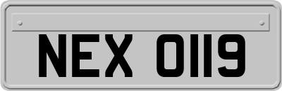 NEX0119