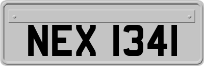 NEX1341