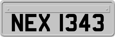 NEX1343