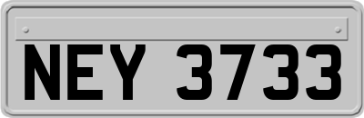 NEY3733