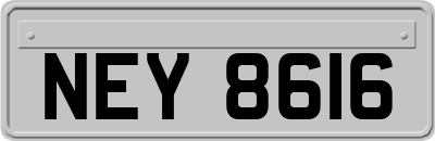 NEY8616