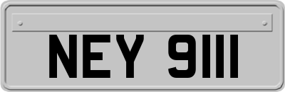 NEY9111