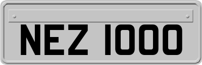 NEZ1000