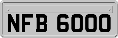 NFB6000