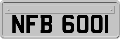 NFB6001