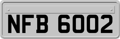 NFB6002