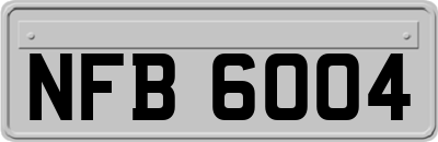 NFB6004