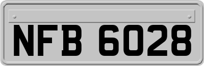 NFB6028