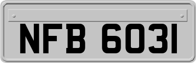 NFB6031