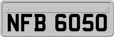 NFB6050