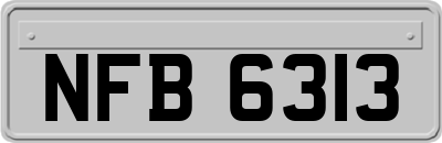 NFB6313