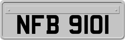 NFB9101