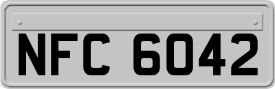 NFC6042