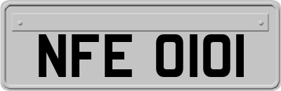 NFE0101