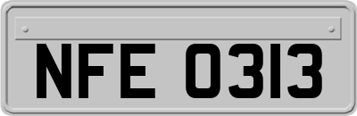NFE0313