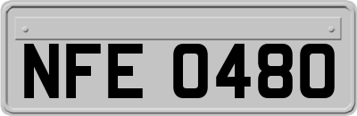 NFE0480
