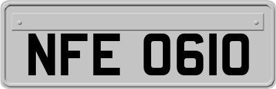 NFE0610