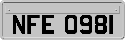 NFE0981