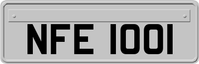 NFE1001