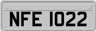 NFE1022