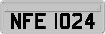 NFE1024