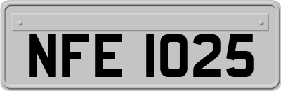 NFE1025