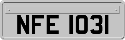 NFE1031
