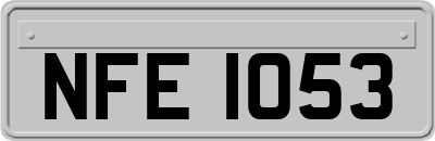 NFE1053