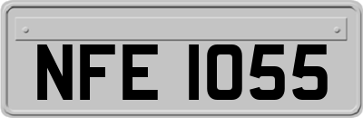 NFE1055