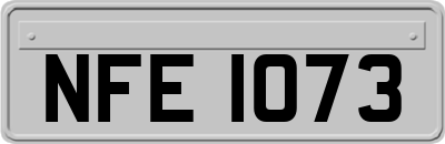 NFE1073