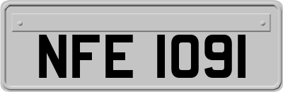 NFE1091