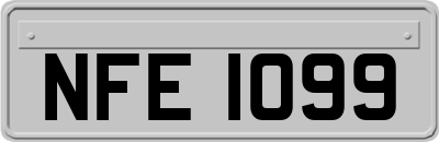 NFE1099
