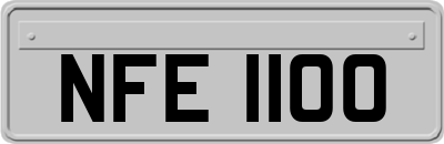 NFE1100