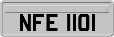 NFE1101