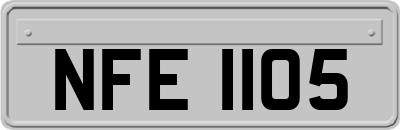 NFE1105