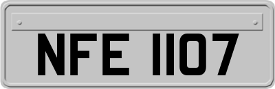 NFE1107