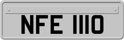 NFE1110