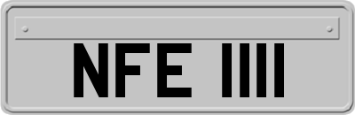 NFE1111