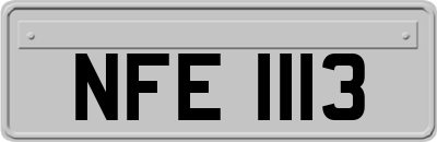 NFE1113