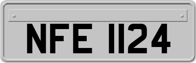NFE1124