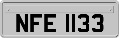NFE1133