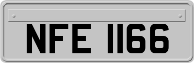 NFE1166