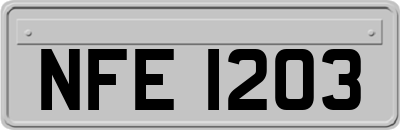 NFE1203